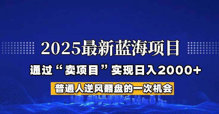 2025年蓝海项目，如何通过“网创项目”日入2000+-悟空知识星球