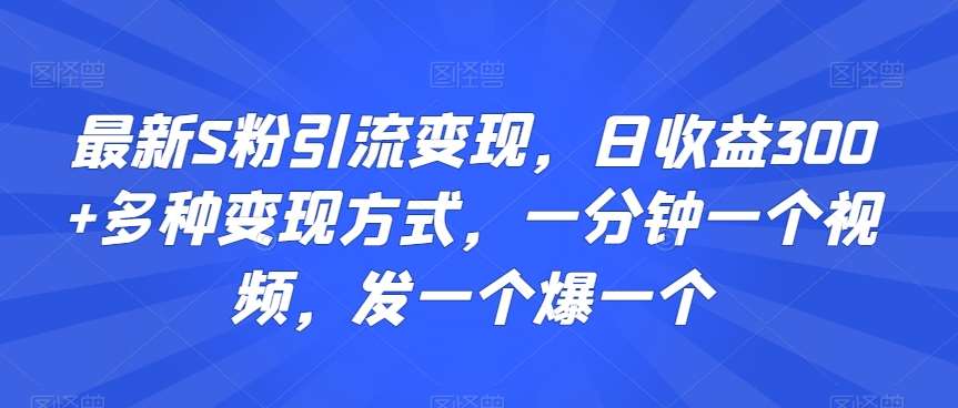 最新S粉引流变现，日收益300+多种变现方式，一分钟一个视频，发一个爆一个【揭秘】-悟空知识星球