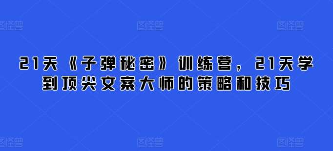 21天《子弹秘密》训练营，21天学到顶尖文案大师的策略和技巧-悟空知识星球
