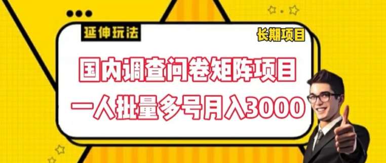 国内调查问卷矩阵项目，一人批量多号月入3000【揭秘】-悟空知识星球