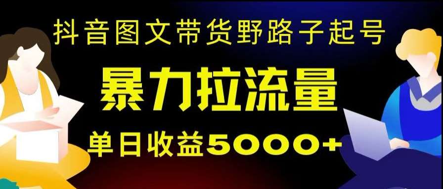 抖音图文带货暴力起号，单日收益5000+，野路子玩法，简单易上手，一部手机即可【揭秘】-悟空知识星球