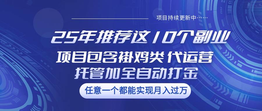 25年推荐这10个副业 项目包含褂鸡类、代运营托管类、全自动打金类-悟空知识星球
