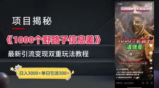 一千个野路子信息差最新玩法教程-变现+引流的玩法具体拆解【揭秘】-悟空知识星球