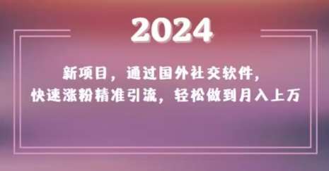 2024新项目，通过国外社交软件，快速涨粉精准引流，轻松做到月入上万【揭秘】-悟空知识星球