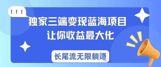独家三端变现蓝海项目，让你收益最大化，长尾流无限躺挣-悟空知识星球