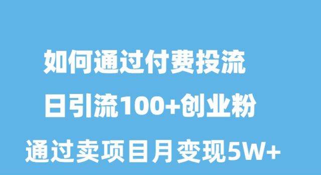 (10189期)如何通过付费投流日引流100+创业粉月变现5W+-悟空知识星球
