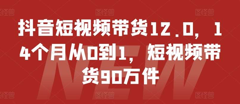 抖音短视频带货12.0，14个月从0到1，短视频带货90万件-悟空知识星球