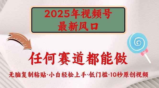 （14453期）2025年视频号新风口，低门槛只需要无脑执行-悟空知识星球