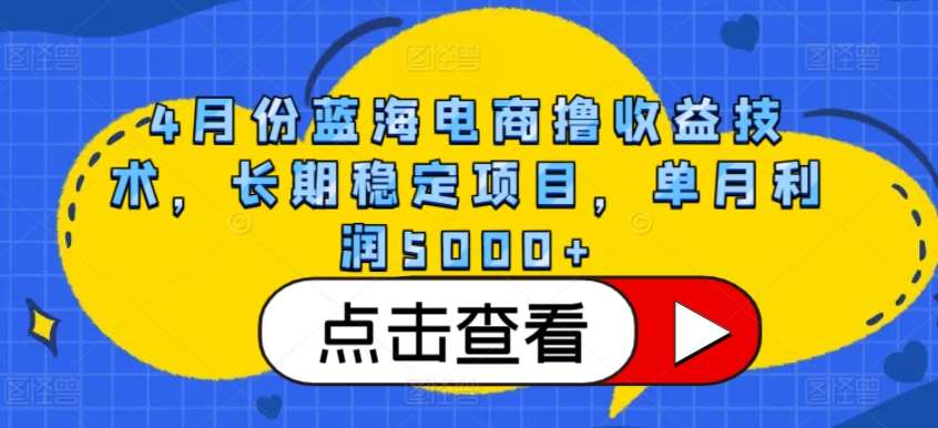 4月份蓝海电商撸收益技术，长期稳定项目，单月利润5000+【揭秘】-悟空知识星球