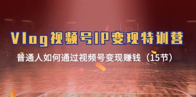 （11654期）Vlog 视频号IP变现特训营，普通人如何通过视频号变现赚钱（15节）-悟空知识星球