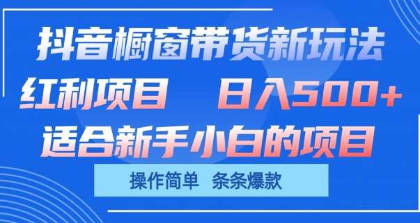 抖音橱窗带货新玩法，单日收益几张，操作简单，条条爆款【揭秘】-悟空知识星球