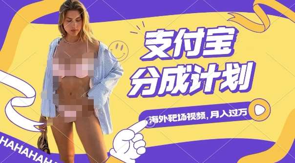 利用海外靶场射击视频，挣支付宝分成收益，轻松月入过W【揭秘】-悟空知识星球