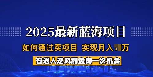 2025蓝海项目，普通人如何通过卖项目，实现月入过W，全过程【揭秘】-悟空知识星球