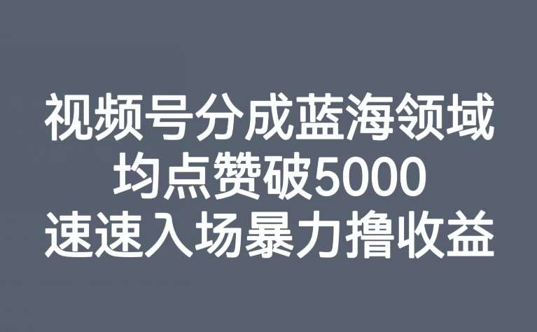 视频号分成蓝海领域，均点赞破5000，速速入场暴力撸收益-悟空知识星球