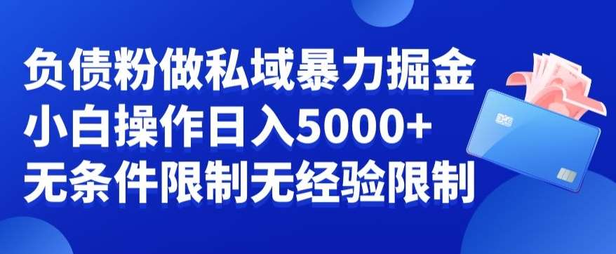 负债粉私域暴力掘金，小白操作入5000，无经验限制，无条件限制【揭秘】-悟空知识星球