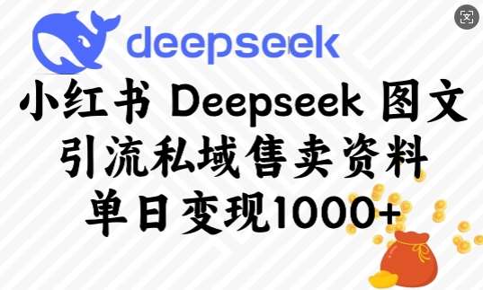小红书Deepseek图文引流私域售卖资料，单日变现多张-悟空知识星球