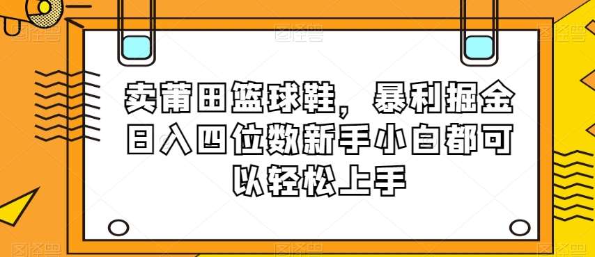 卖莆田篮球鞋，暴利掘金日入四位数新手小白都可以轻松上手【揭秘】-悟空知识星球