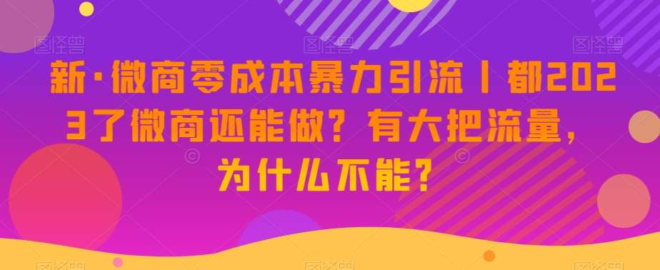 新·微商零成本暴力引流丨都2023了微商还能做？有大把流量，为什么不能？-悟空知识星球