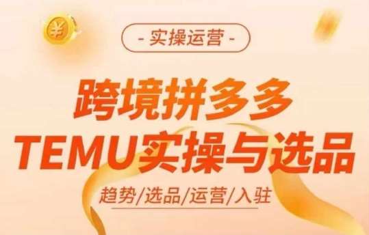 跨境拼多多TEMU实操与选品，多多temu跨境选品运营实操-悟空知识星球