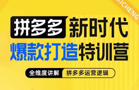 玺承·拼多多新时代爆款打造特训营,全维度讲解拼多多运营逻辑-悟空知识星球