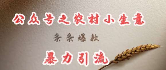 deepseek写农村小项目，条条爆款，暴力引流-悟空知识星球