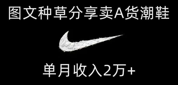 靠图文种草分享卖A货潮鞋，每天一小时，单月收入2万+【揭秘】-悟空知识星球