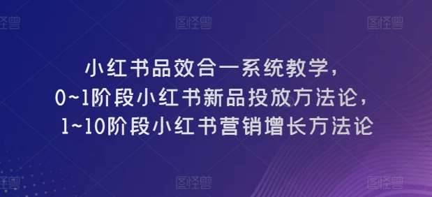 小红书品效合一系统教学，​0~1阶段小红书新品投放方法论，​1~10阶段小红书营销增长方法论-悟空知识星球