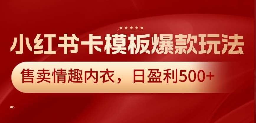 小红书卡模板爆款玩法，售卖情趣内衣，日盈利500+【揭秘】-悟空知识星球