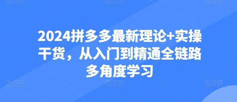 2024拼多多最新理论+实操干货，从入门到精通全链路多角度学习-悟空知识星球