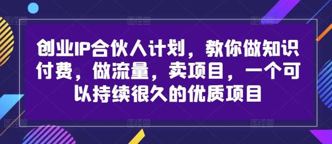 创业IP合伙人计划，教你做知识付费，做流量，卖项目，一个可以持续很久的优质项目-悟空知识星球