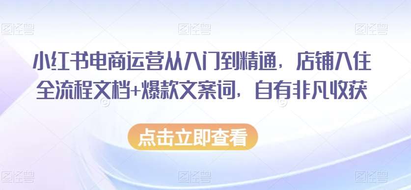 小红书电商运营从入门到精通，店铺入住全流程文档+爆款文案词，自有非凡收获-悟空知识星球