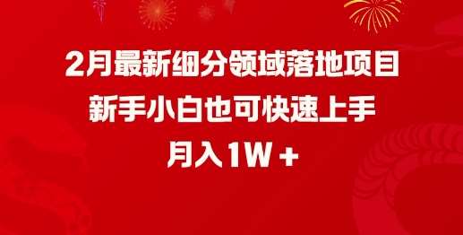 2月最新细分领域落地项目，新手小白也可快速上手，月入1W-悟空知识星球