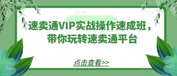 速卖通VIP实战操作速成班，带你玩转速卖通平台-悟空知识星球