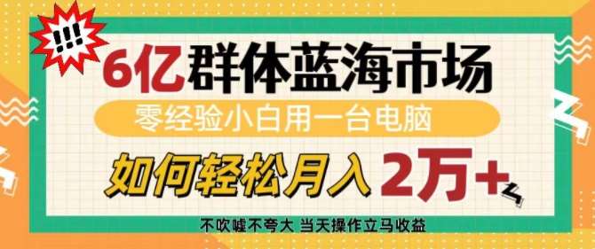 6亿群体蓝海市场,零经验小白用一台电脑,如何轻松月入过w【揭秘】-悟空知识星球