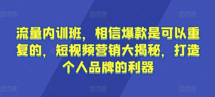 流量内训班，相信爆款是可以重复的，短视频营销大揭秘，打造个人品牌的利器-悟空知识星球