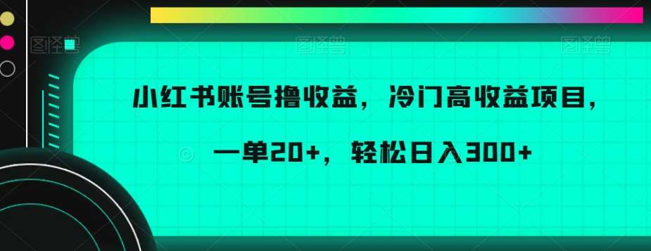 小红书账号撸收益，冷门高收益项目，一单20+，轻松日入300+【揭秘】-悟空知识星球