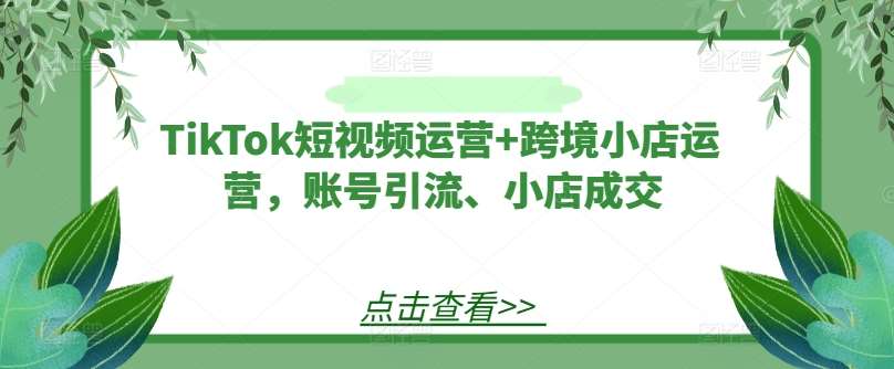 TikTok短视频运营+跨境小店运营，账号引流、小店成交-悟空知识星球
