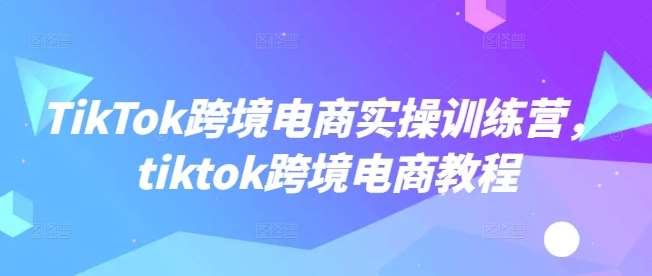 TikTok跨境电商实操训练营，tiktok跨境电商教程-悟空知识星球