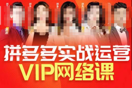 推易拼多多VIP全套直播课程，拼多多店铺实操玩法+实战玩法选款内功+直通车高阶等-悟空知识星球
