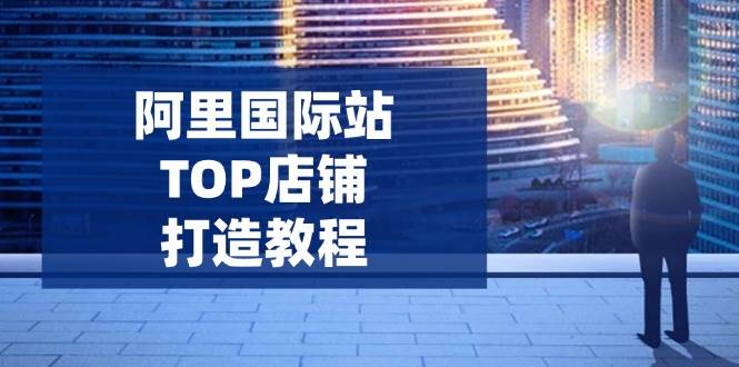 （14269期）阿里国际站TOP店铺打造教程：涵盖平台到高阶，解决运营难题，提升询盘-悟空知识星球