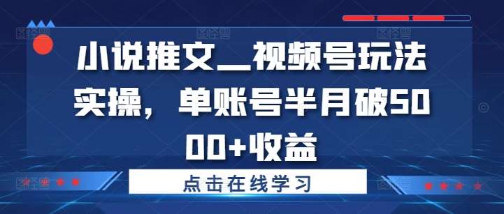 小说推文—视频号玩法实操，单账号半月破5000+收益-悟空知识星球