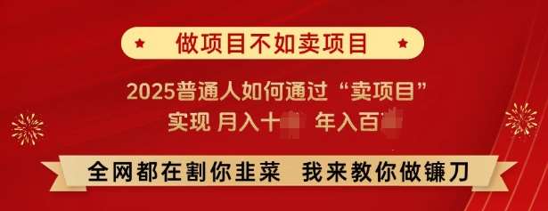 必看,做项目不如卖项目,2025普通人如何通过“卖项目”实现月入十个,年入百个-悟空知识星球