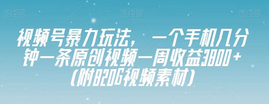 视频号暴力玩法，一个手机几分钟一条原创视频一周收益3800+（附820G视频素材）-悟空知识星球