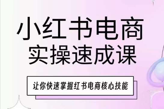 小红书电商实操速成课，让你快速掌握红书电商核心技能-悟空知识星球