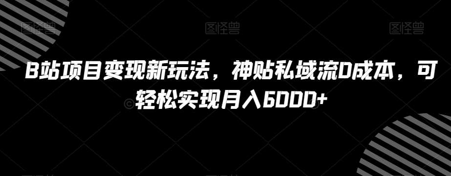 B站项目变现新玩法，神贴私域流0成本，可轻松实现月入6000+【揭秘】-悟空知识星球