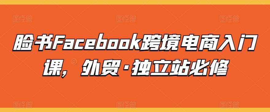 脸书Facebook跨境电商入门课，外贸·独立站必修-悟空知识星球