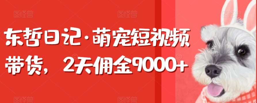 东哲日记·萌宠短视频带货，2天佣金9000+-悟空知识星球