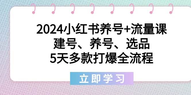 （8974期）2024小红书养号+流量课：建号、养号、选品，5天多款打爆全流程-悟空知识星球