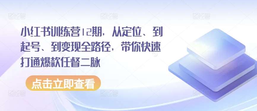 小红书训练营12期，从定位、到起号、到变现全路径，带你快速打通爆款任督二脉-悟空知识星球