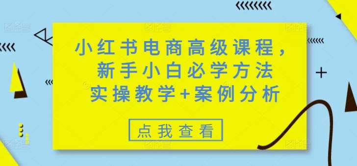 小红书电商高级课程，新手小白必学方法，实操教学+案例分析-悟空知识星球
